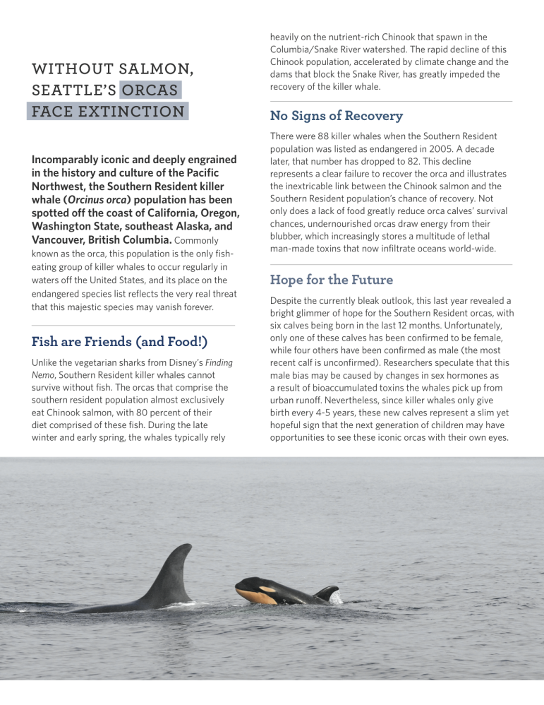 Southern Resident Killer Whale - Endangered Species Coalition