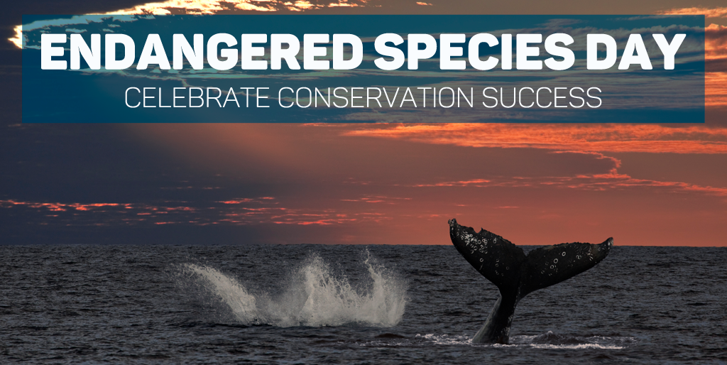 College Students Celebrate Endangered Species Day - Endangered Species  Coalition