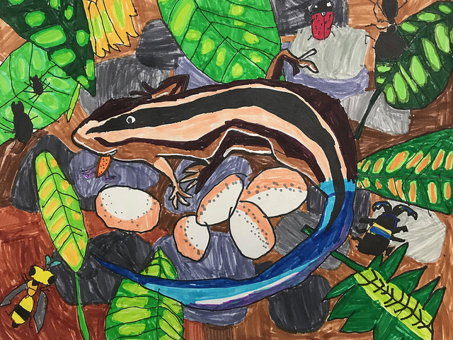 Saving Endangered Species Youth Art Contest - Endangered Species Coalition