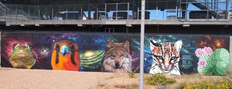 Border Wildlife Mural, El Paso, TX, by Roger Peet, Jesus “Cimi” Alvarado, Martin “Blast” Zubia from El Paso, and Ivan “Shack” Melendez from Ciudad Juarez. 