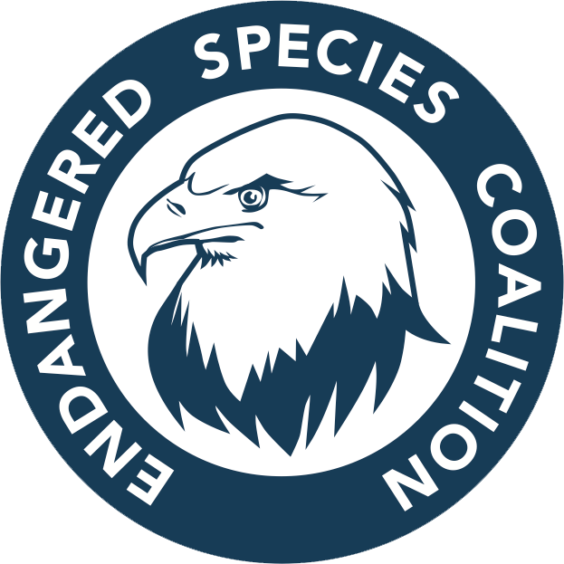 We've had the fortune to receive support and creative advice from Tom Sachs for our organization. Tom's studio redid the Endangered Species Coalition logo. Tom chose the Navy's blue color, ensuring that the logo has longevity. He also feels it's important that the eagle be assertive, reflecting our group's grassroots mobilization approach. We love that our eagle logo is a symbol of the recovery of an iconic species and the success of the Endangered Species Act. And we're grateful to Tom and his studio for the support for imperiled wildlife.