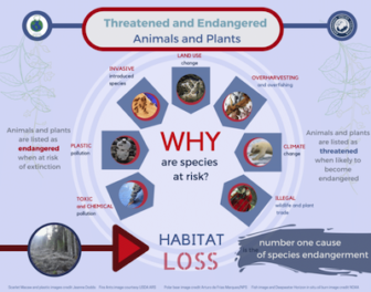 Infographic detailling why threatened and endangered animals and plants are at risk