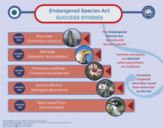 Infographic illustrating Endangered Species Act success stories