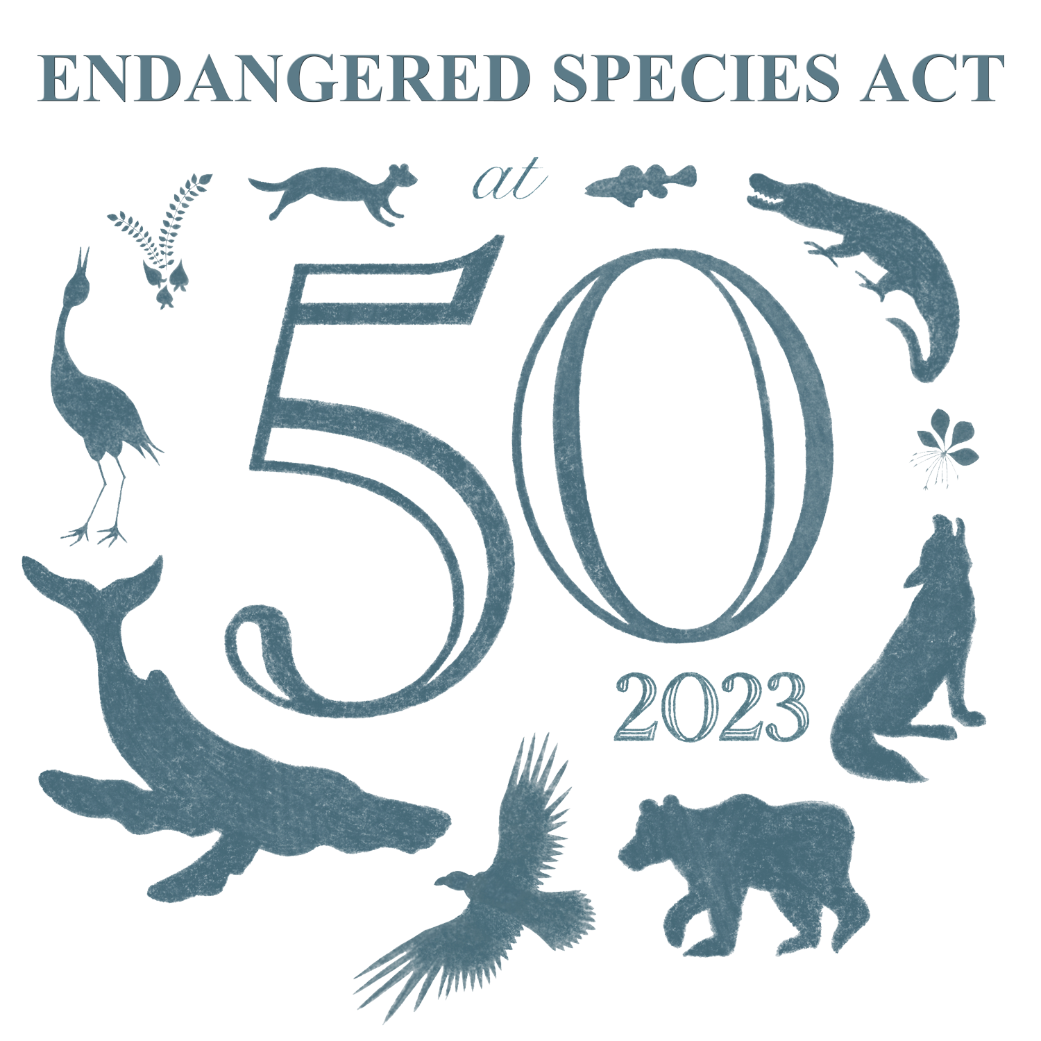 Endangered Species Day Endangered Species Coalition
