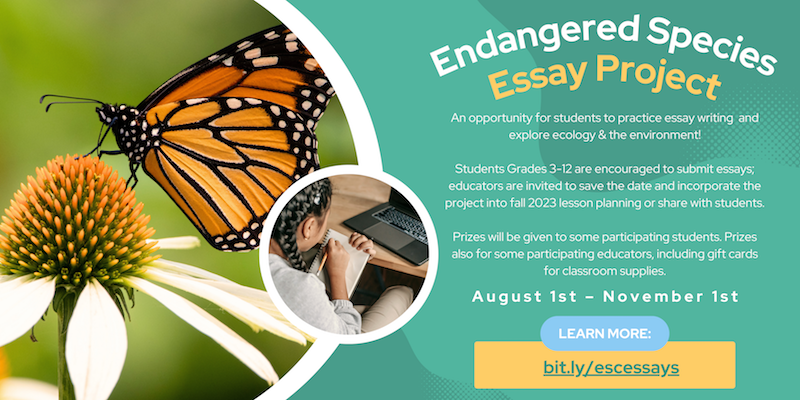 school project short essay on endangered animals
