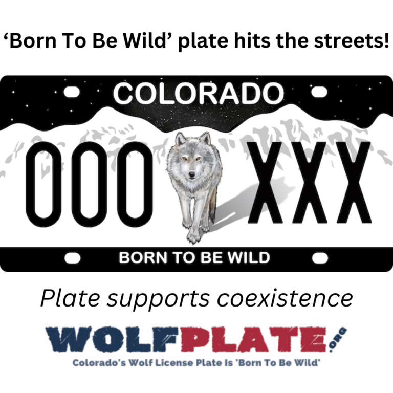 CO: Support Wolf Recovery License Plates - Endangered Species Coalition