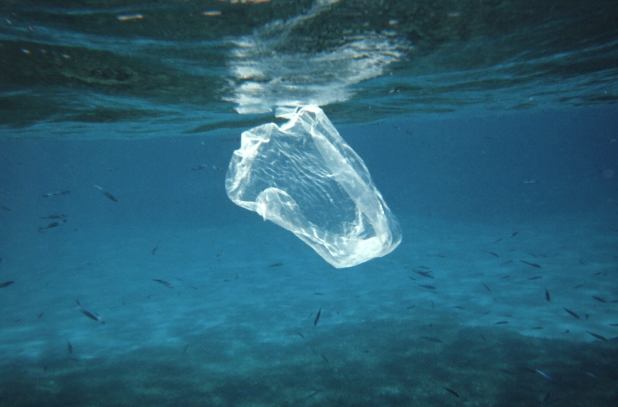 plastic bags in the ocean