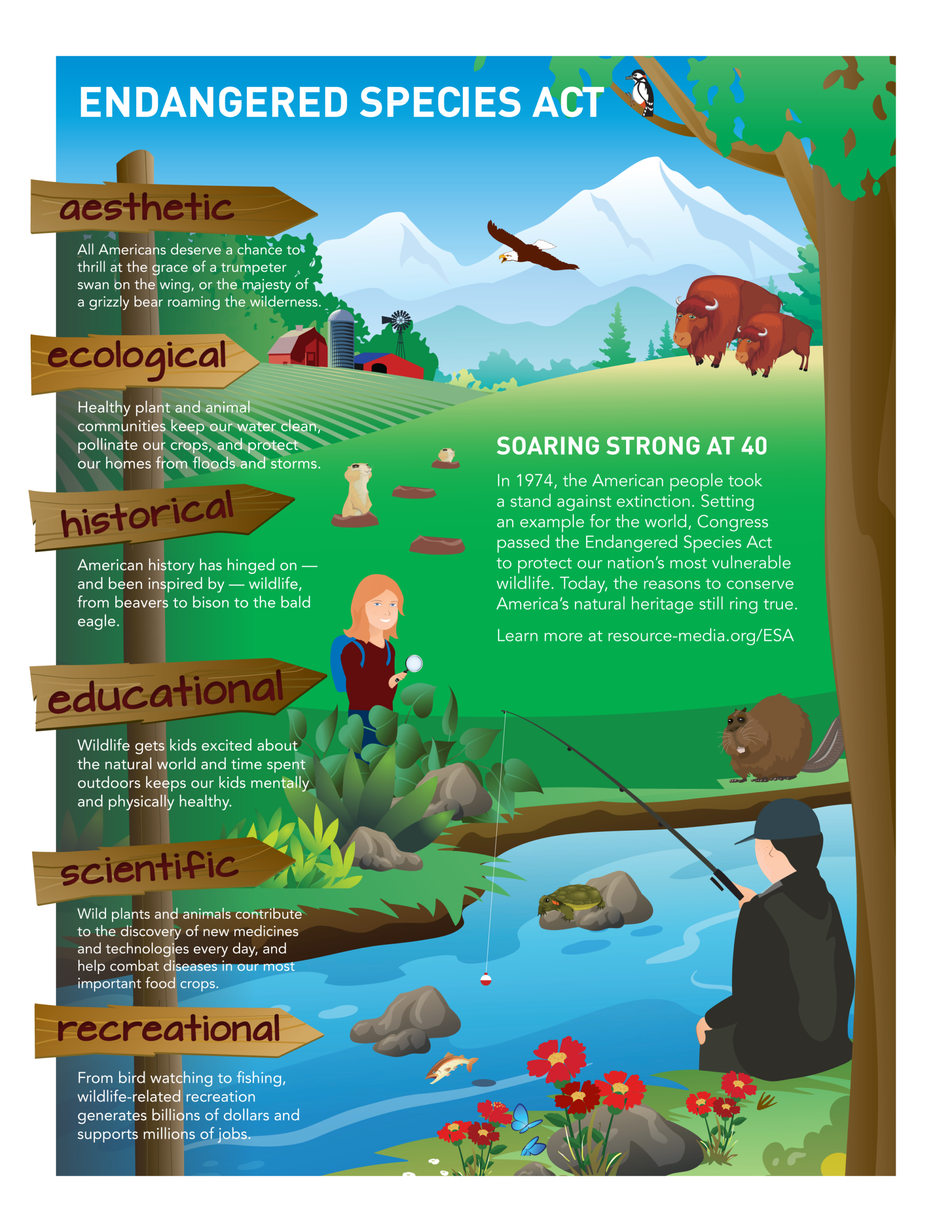 endangered species act protect protecting infographic esa wildlife animal law animals conservation why important take environmental plant fish action acts