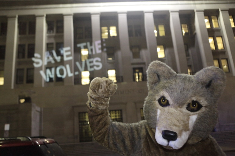 endangered species protest interior howls coalition act